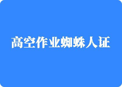 美女肉泬被插黄片高空作业蜘蛛人证